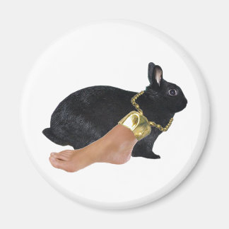 Imã Lucky Human's Foot