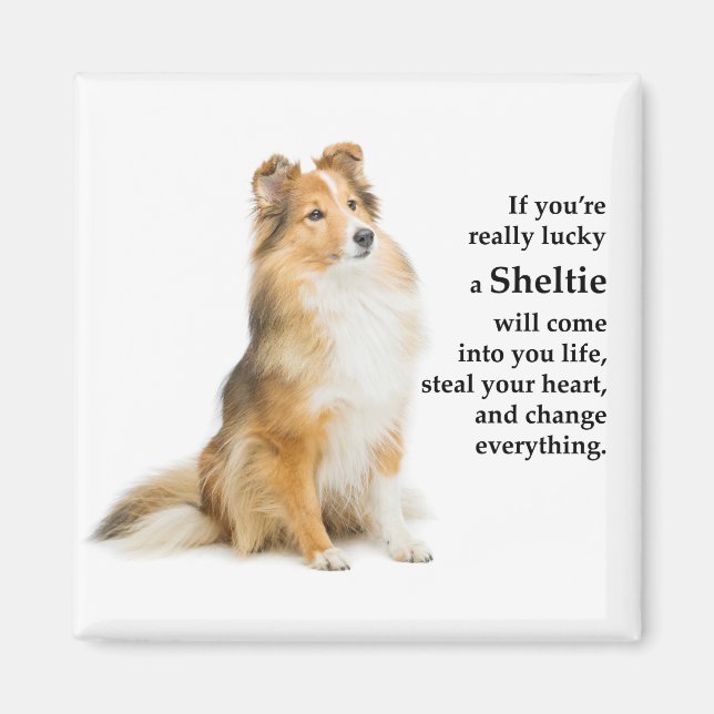 Imã Lucky Sheltie (Frente)