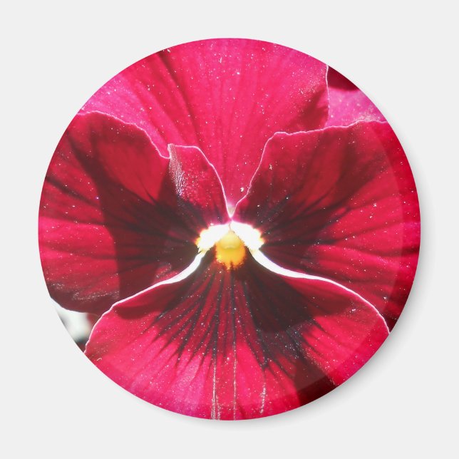 Imã Lucrezia (Frente)