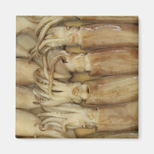 Imã Lula - Calamari