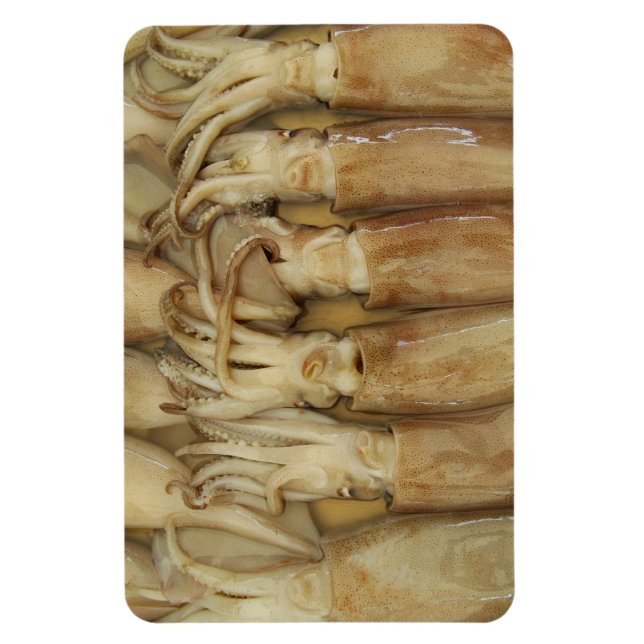 Ímã Lula - Calamari (Vertical)