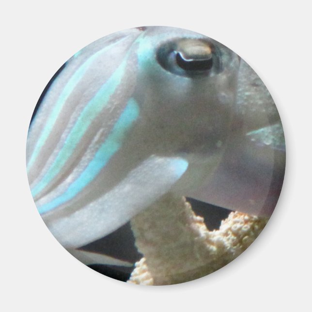 Imã Luminoso (Frente)