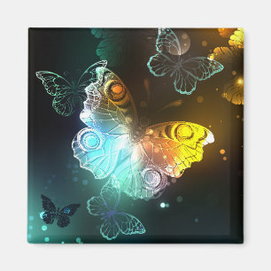Imã Luminous Butterfly and Night butterflies