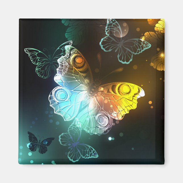 Imã Luminous Butterfly and Night butterflies (Frente)