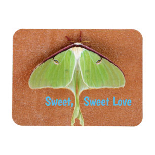 Ímã Luna Moth Flexible Magnet