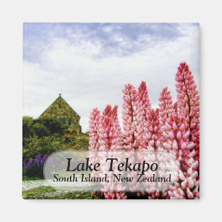 Imã Lupins rosa @ Lake Tekapo New Zelândia Magnet
