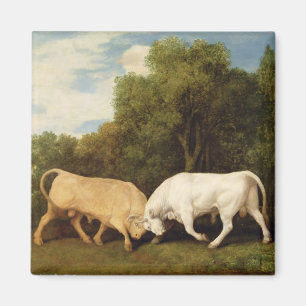 Imã Luta de touros de George Stubbs , 1786 (óleo no
