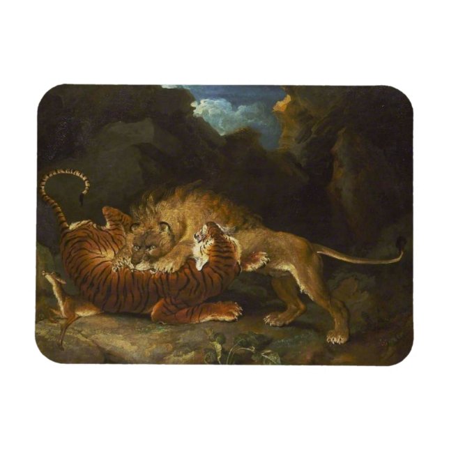 Ímã Lutar entre um Leão e um Tigre (Horizontal)