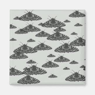 Imã Luz à noite espreitando à meia-noite