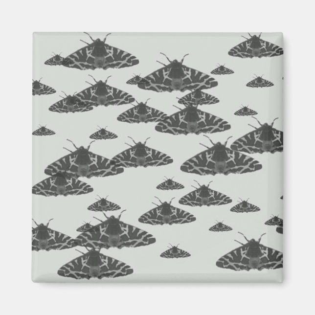 Imã Luz à noite espreitando à meia-noite (Frente)