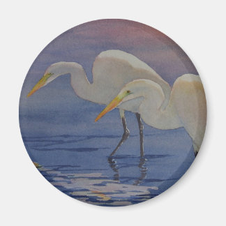 Imã Luz Antecipada de Dawn