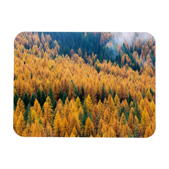 Ímã Luz da manhã na praia | Ilha Tybee (Horizontal)