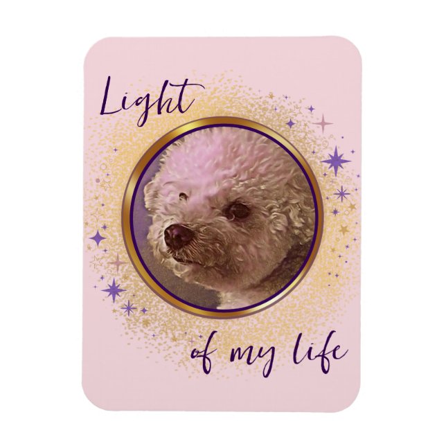 Ímã Luz da Minha Vida (Vertical)