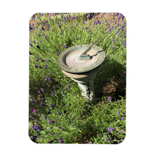 Ímã Luz de sol na Lavanda