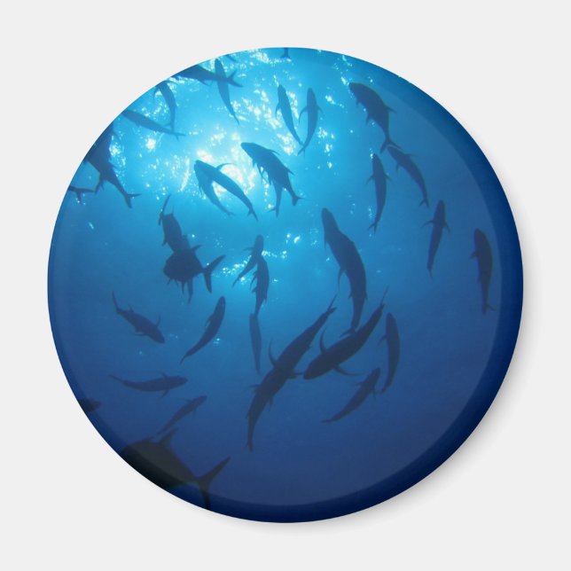 Imã Luz do sol e calçados sob o mar (Frente)