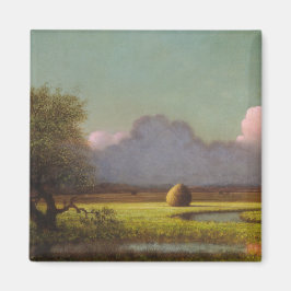 Imã Luz do sol e sombra: Os pântanos de Newbury