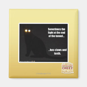 Imã Luz no fim do túnel