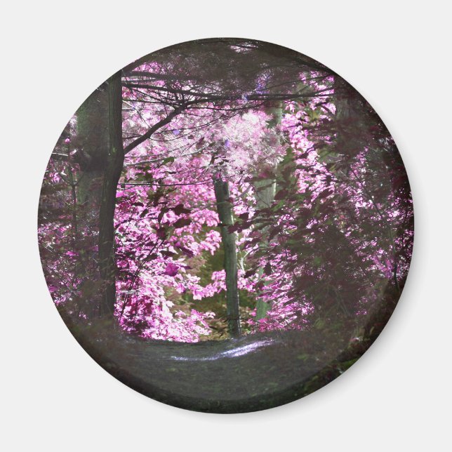 Imã Luz no ímã da natureza do trajeto (Frente)