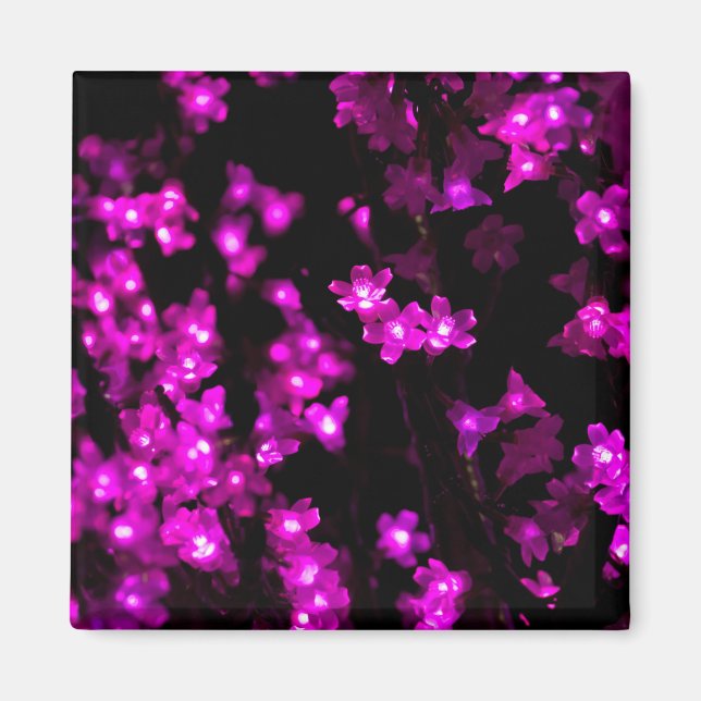 Imã Luzes brilhantes da ventoinha rosa (Frente)
