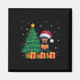 Imã Luzes de Natal de Pinscher Santa Hat, Miniatura Fe
