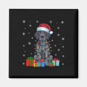 Imã Luzes de Natal Papais noeis Cachorro de Ponteiro C