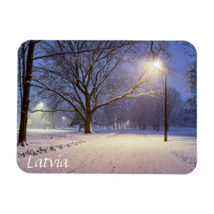 Ímã Luzes de rua e cobertas de neve