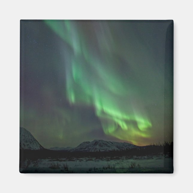 Imã Luzes do Norte | Whitehorse, Yukon (Frente)