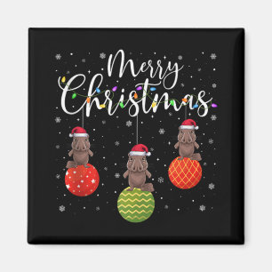 Imã Luzes Feliz Natal Chapéu do Papai Noel Ornitorrinc
