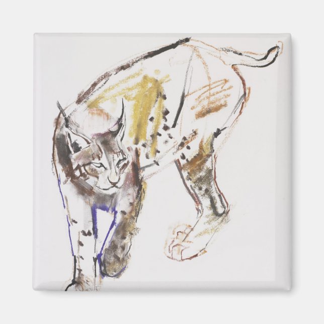 Imã Lynx Europeu (Frente)