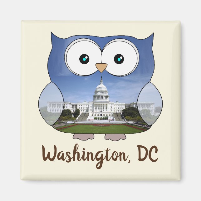 Imã M190132 Chubby Owl | Washington DC i Souvenir (Frente)