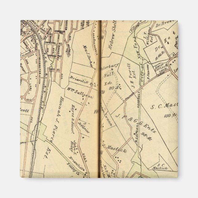 Imã M. Pleasant, Nova Iorque 3 (Frente)