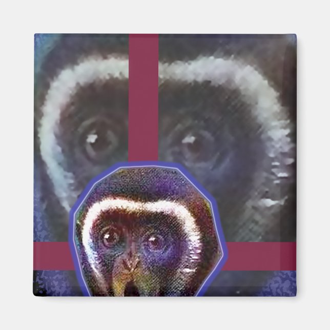 Imã Macaco assustado (Frente)