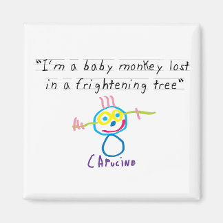 Imã Macaco-bebê