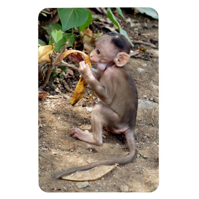 Ímã Macaco-Bebê (Vertical)