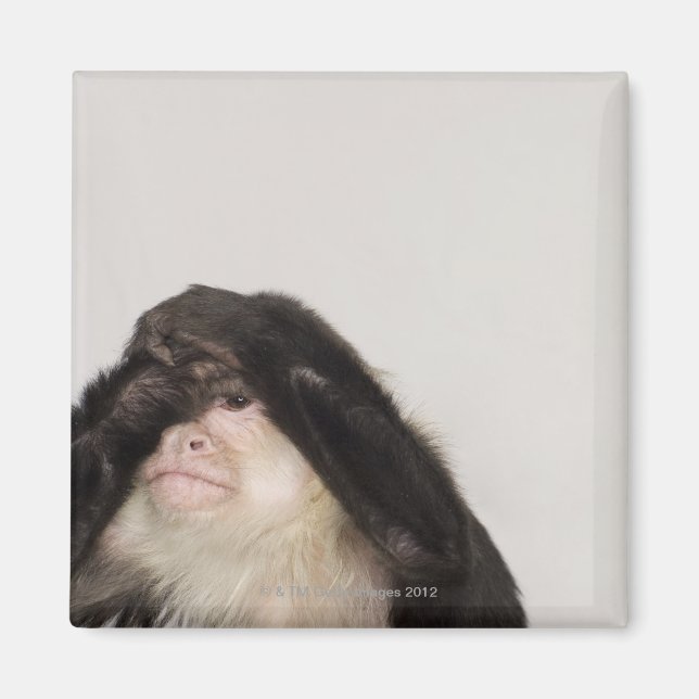 Imã Macaco cobrindo os olhos (Frente)