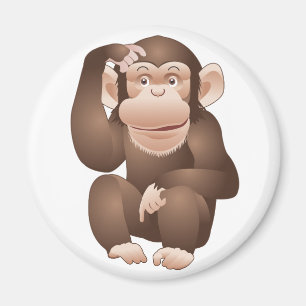 Imã Macaco curioso