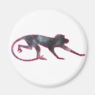 Imã Macaco de cor