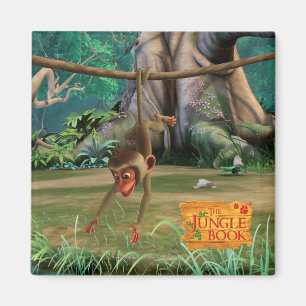Imã Macaco do bebê