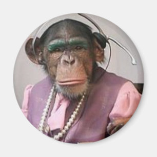 Imã macaco do telefone