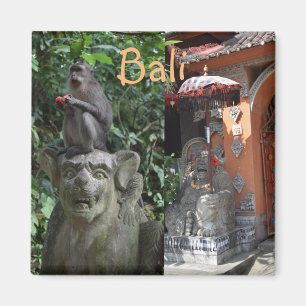 Imã Macaco do Templo Bali Indonésia e Estatutos
