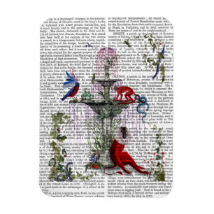 Ímã Macaco Escarlate 2