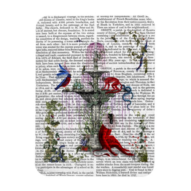 Ímã Macaco Escarlet 2 (Vertical)