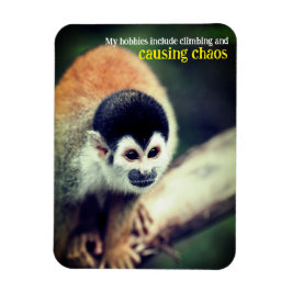 Ímã Macaco esquilo na árvore