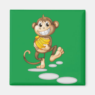 Imã macaco feliz