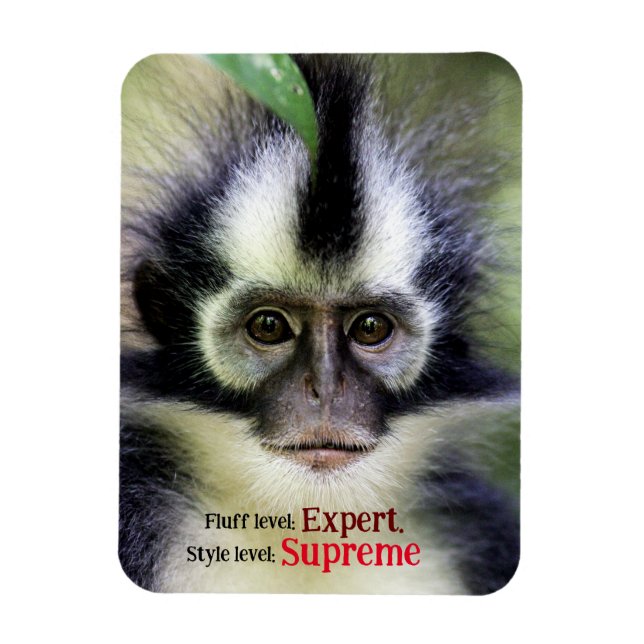 Ímã Macaco Fluffy Thomas Leaf (Vertical)