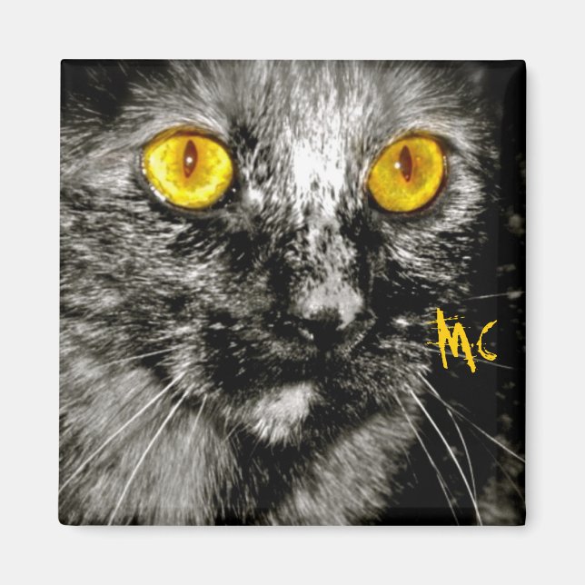 Imã Macaco Gato (Frente)