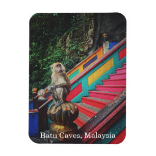 Ímã Macaco Macaco em Batu Cavernas, Viagem da Malásia