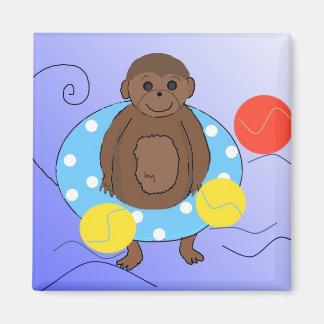 Imã Macaco na Piscina