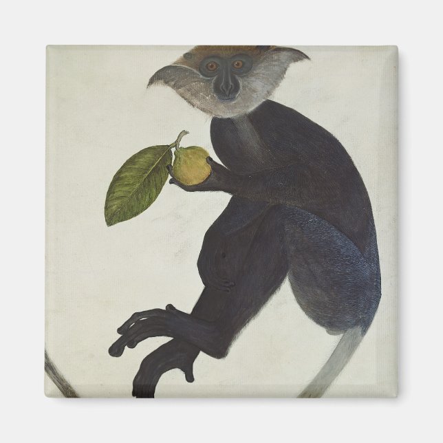 Imã Macaco Negro (Frente)