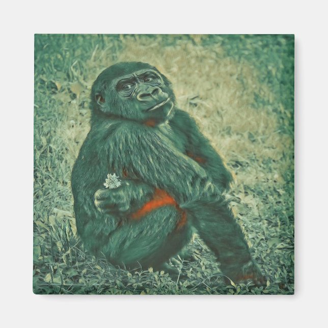 Imã Macaco pensador (Frente)